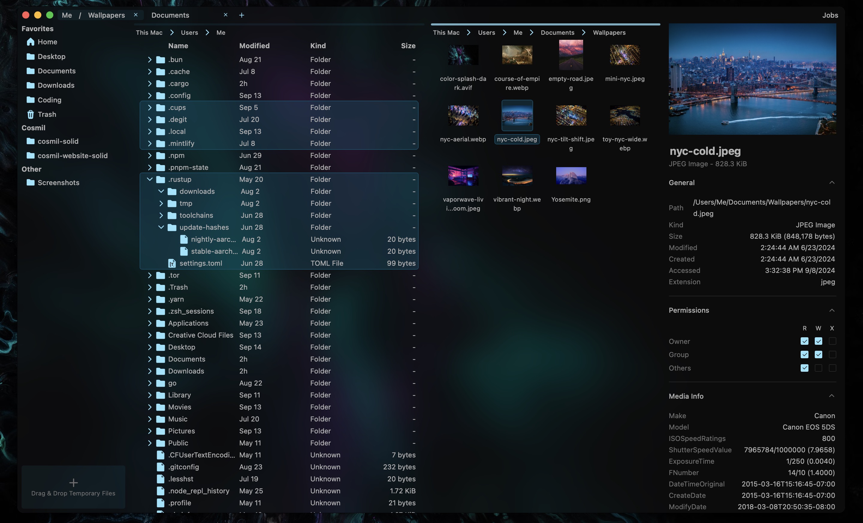 Cyan Themed Dual Pane View